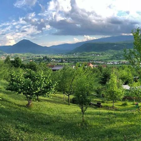 Nektar Park Villa Sara Bihać Exteriör bild