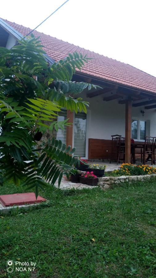 Nektar Park Villa Sara Bihać Exteriör bild