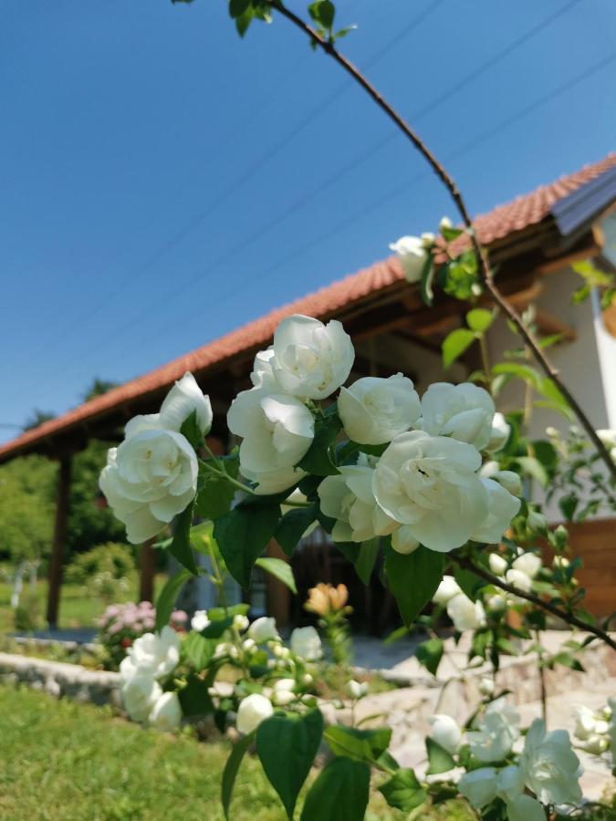 Nektar Park Villa Sara Bihać Exteriör bild