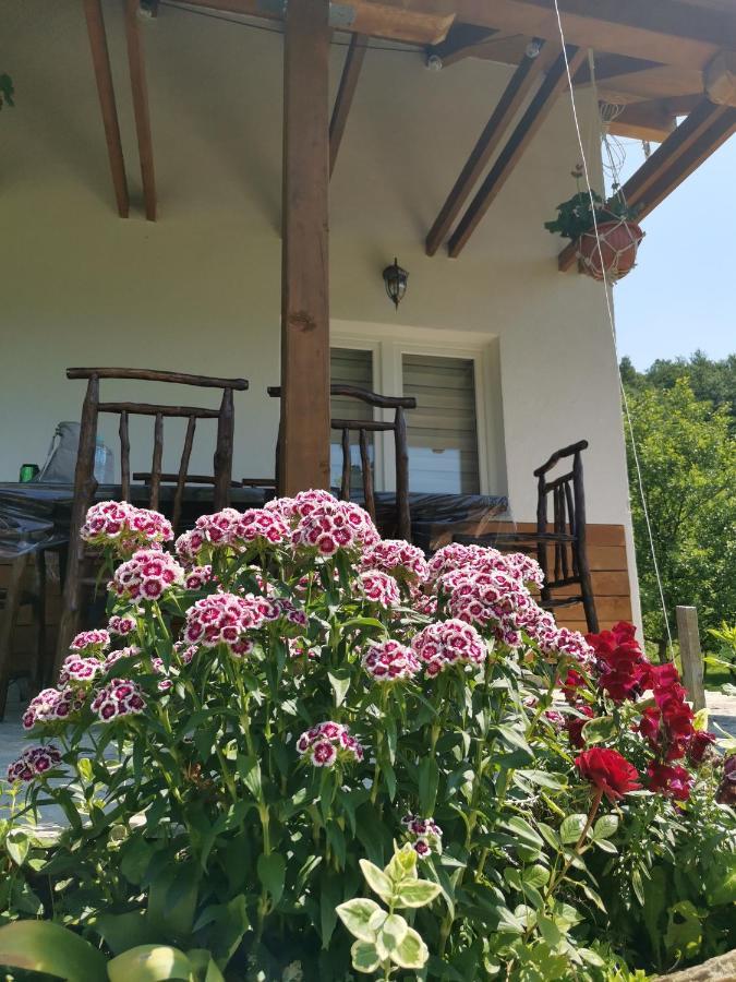 Nektar Park Villa Sara Bihać Exteriör bild