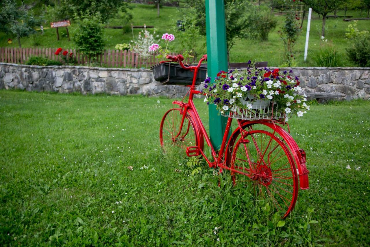 Nektar Park Villa Sara Bihać Exteriör bild