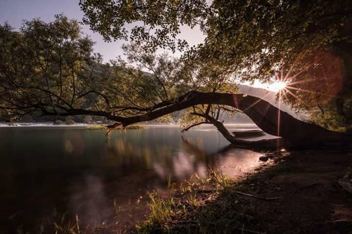 Nektar Park Villa Sara Bihać Exteriör bild