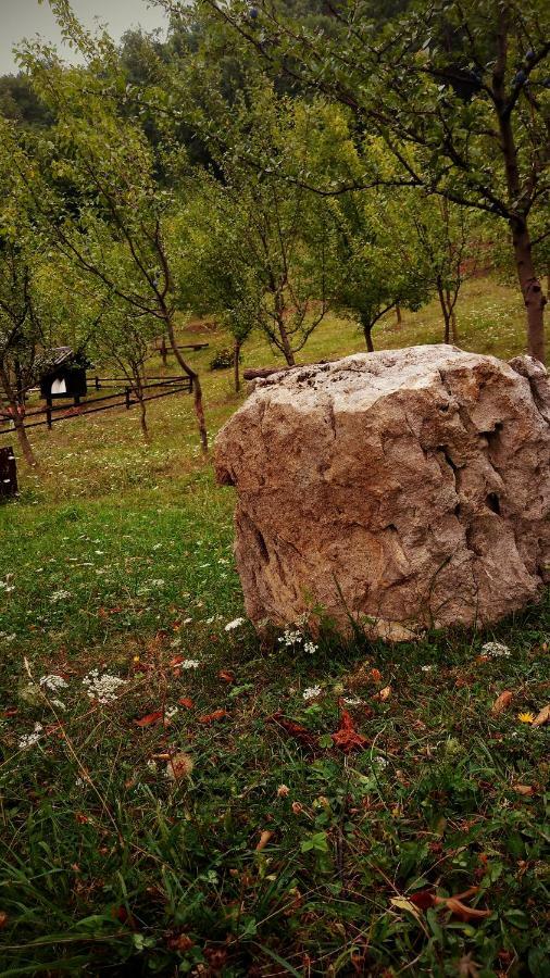 Nektar Park Villa Sara Bihać Exteriör bild